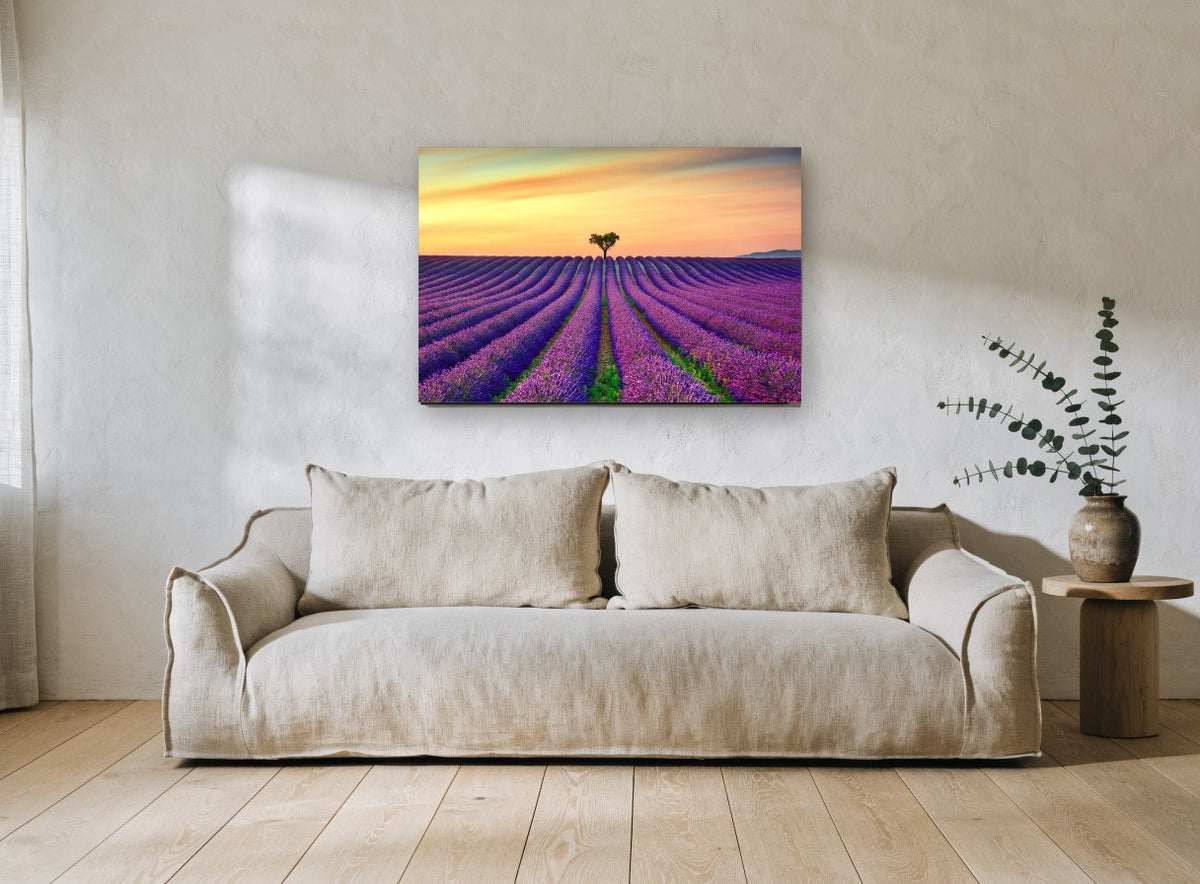 Lavender Rows at Dusk landscape canvas print on the wall of a living room