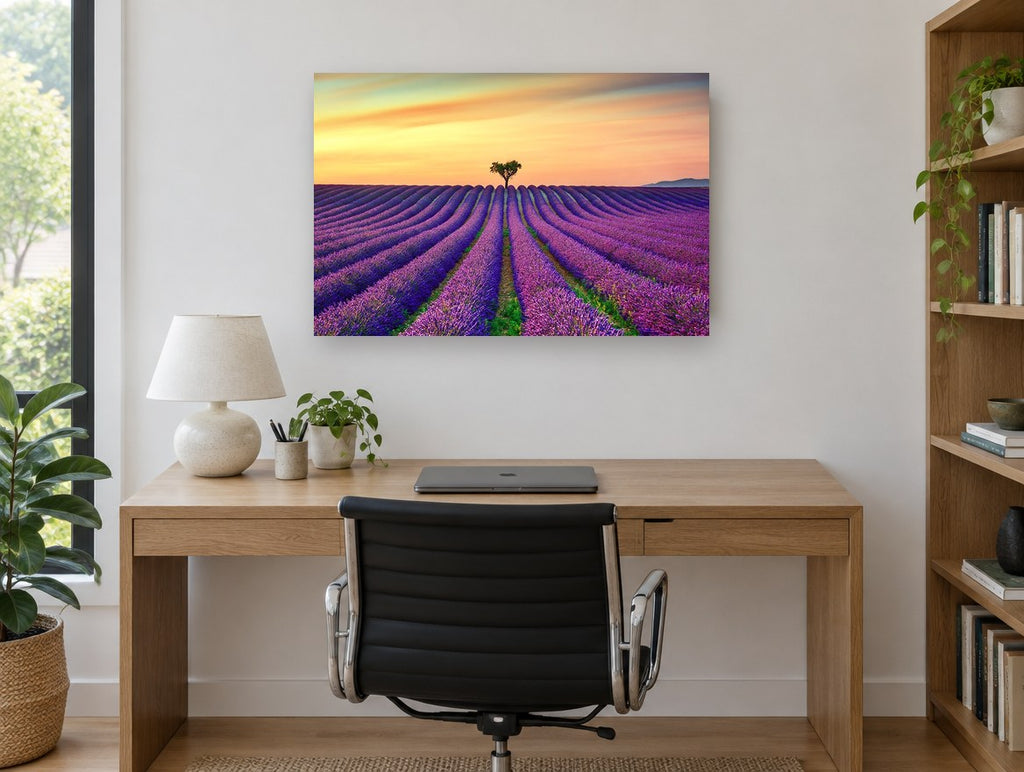 Lavender Rows at Dusk landscape canvas print on the wall of a study