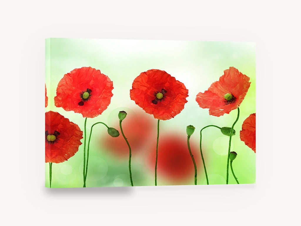 Poppies in a Row, red poppies green bokeh photograph, floral canvas wall art print ready to hang