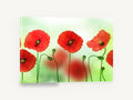 Poppies in a Row, red poppies green bokeh photograph, floral canvas wall art print ready to hang