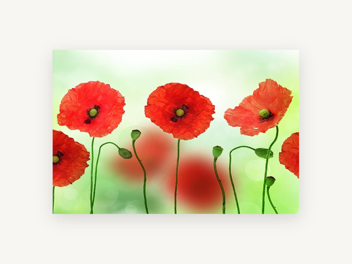Poppies in a Row, floral canvas wall art print, front view