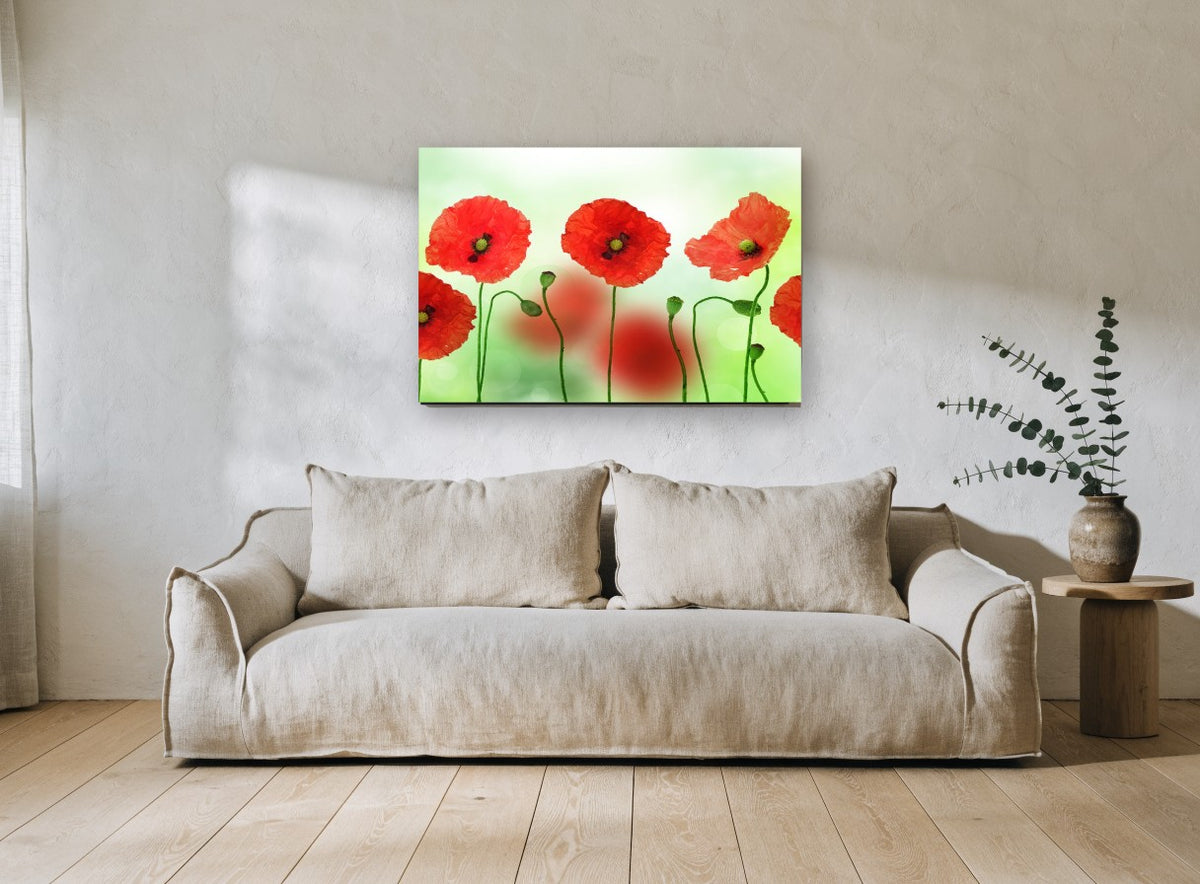 Poppies in a Row floral canvas print on the wall of a living room