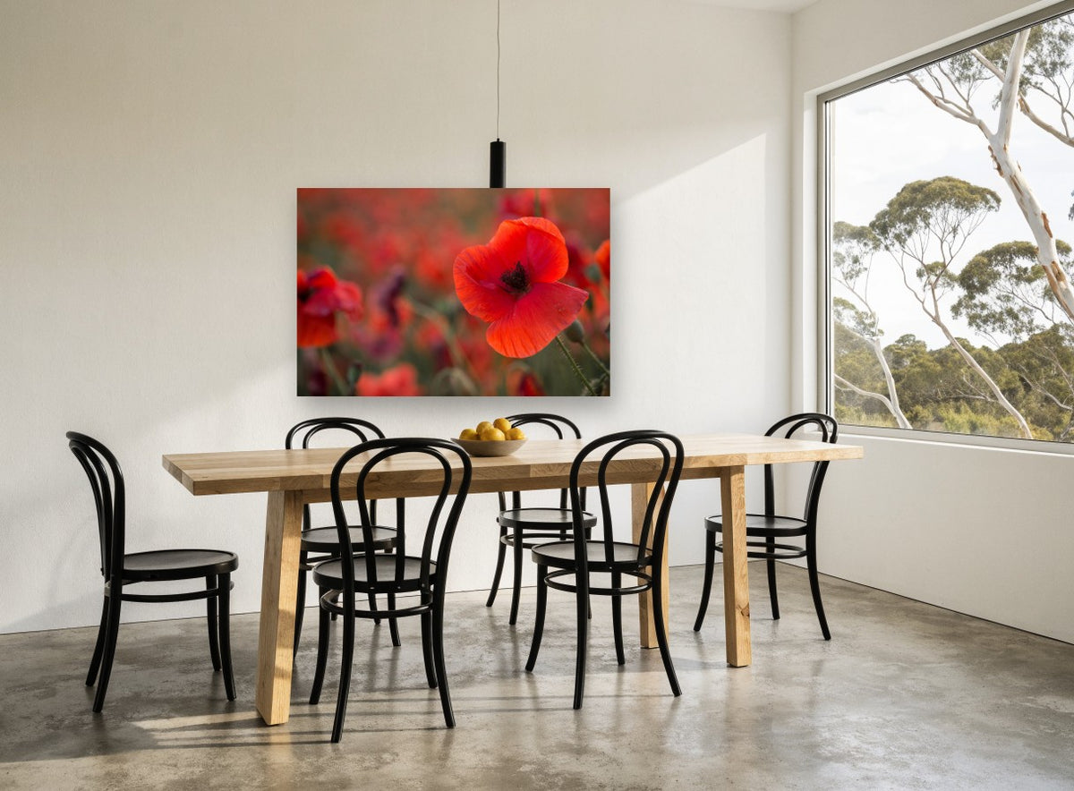 Red Poppy Field Glow floral canvas print on the wall of a dining room