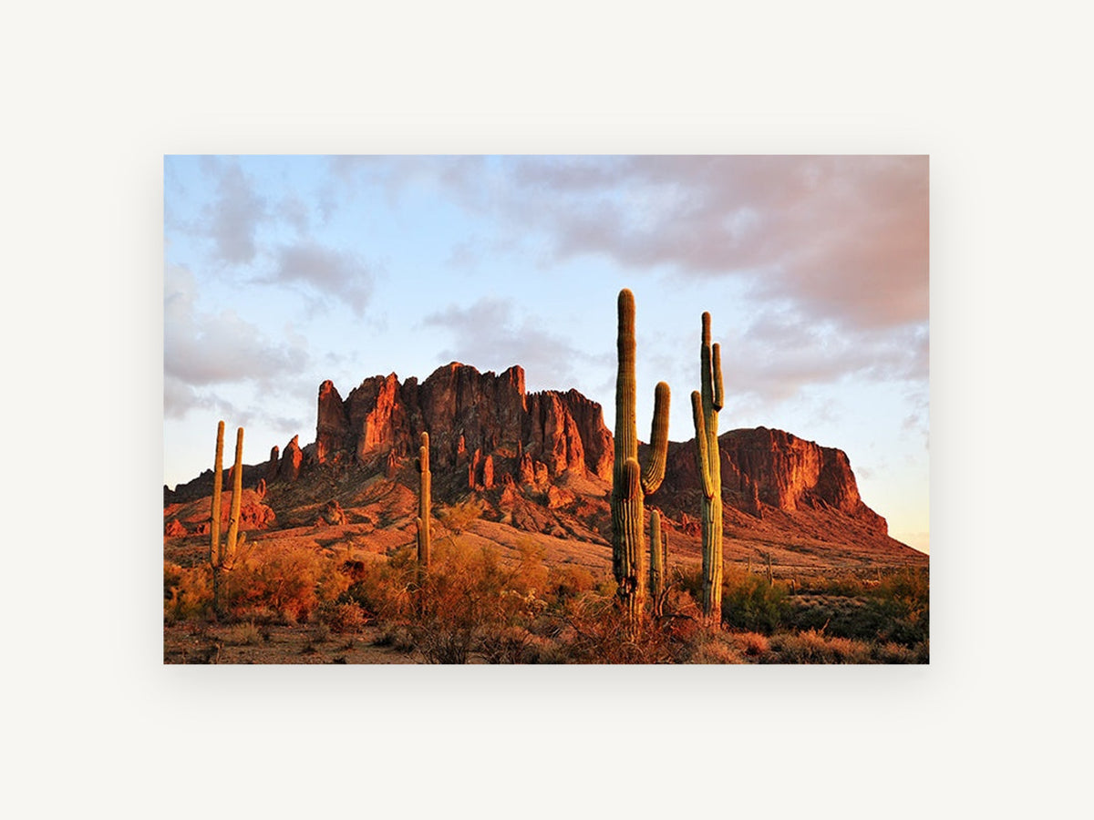 Saguaro Ridge Glow, desert cactus sunset mountain photograph, landscape canvas wall art print, front view