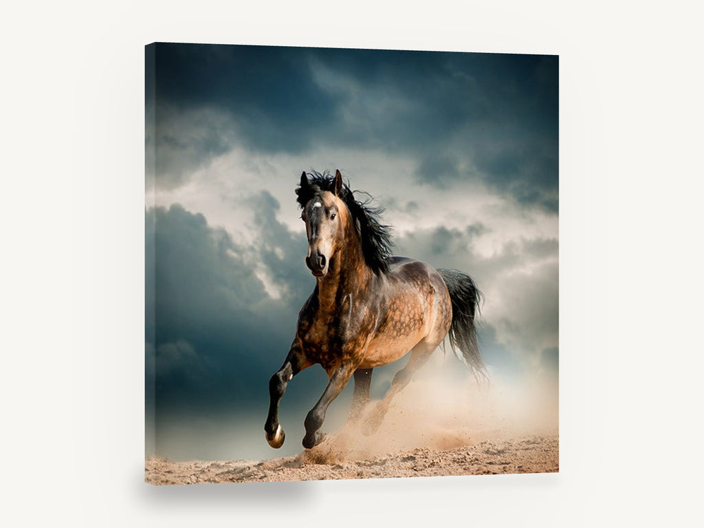 Dust Storm Gallop, dapple horse galloping photograph, animal canvas wall art print ready to hang