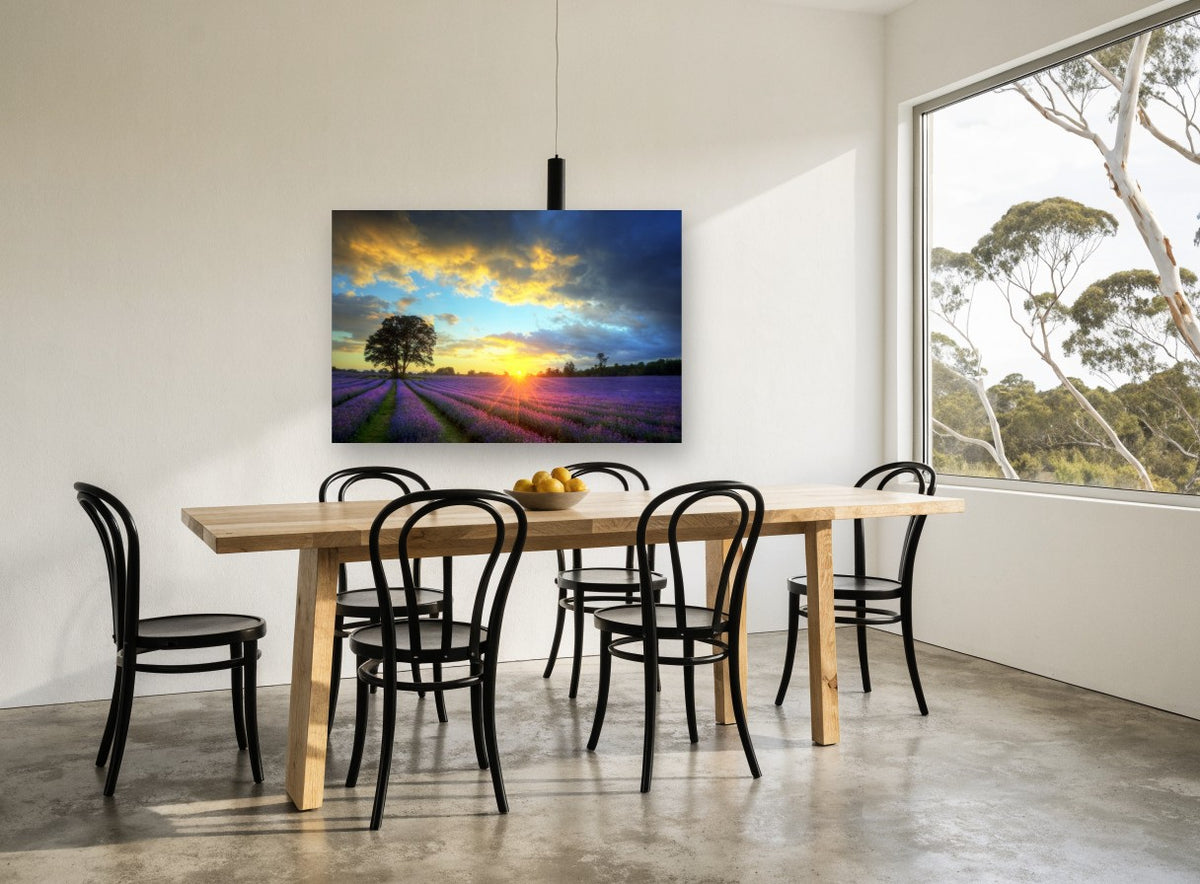 Lavender Field Sunset floral canvas print on the wall of a dining room