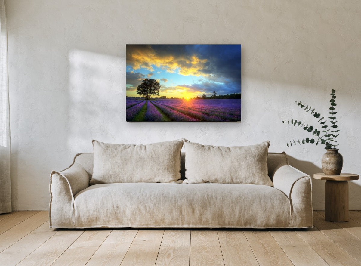 Lavender Field Sunset floral canvas print on the wall of a living room