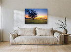 Gum Tree at Dawn landscape canvas print on the wall of a living room