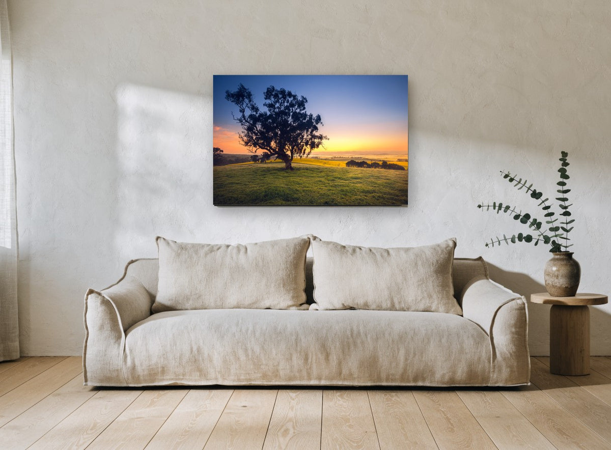 Gum Tree at Dawn landscape canvas print on the wall of a living room