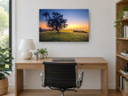 Gum Tree at Dawn landscape canvas print on the wall of a study