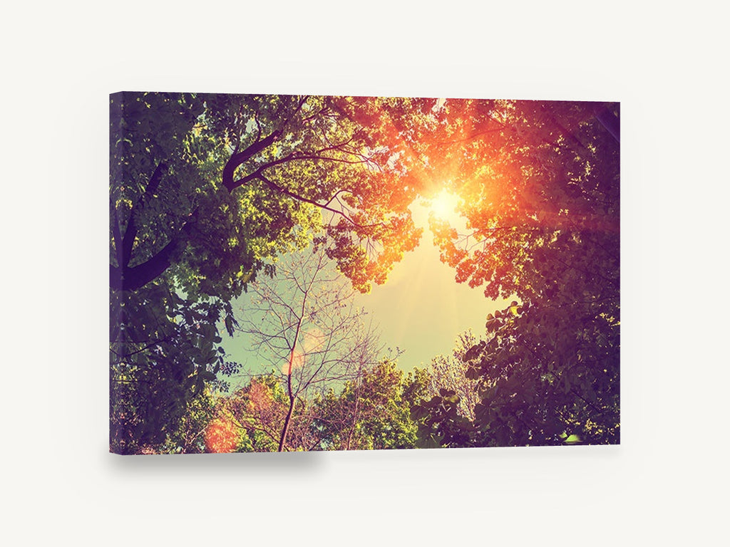 Sunburst Through Canopy, sunlit tree canopy looking up photograph, landscape canvas wall art print ready to hang