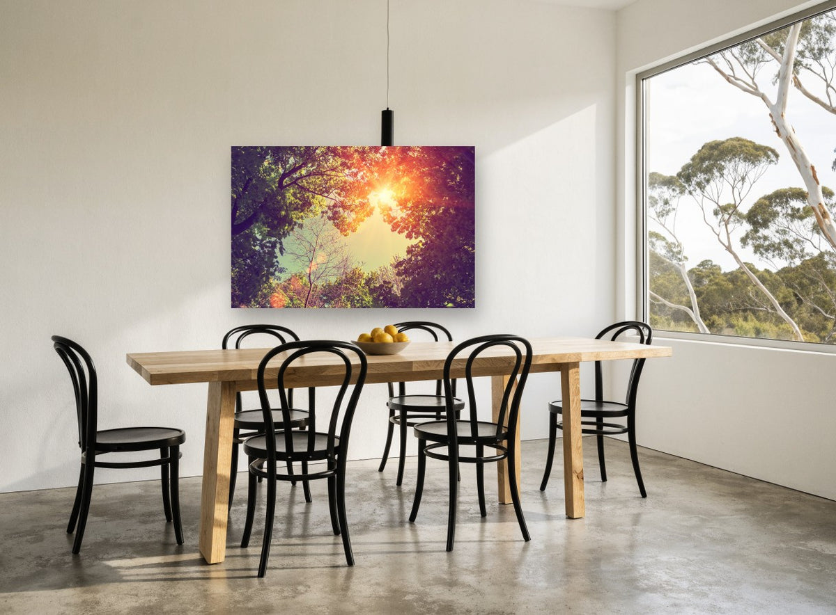 Sunburst Through Canopy landscape canvas print on the wall of a dining room
