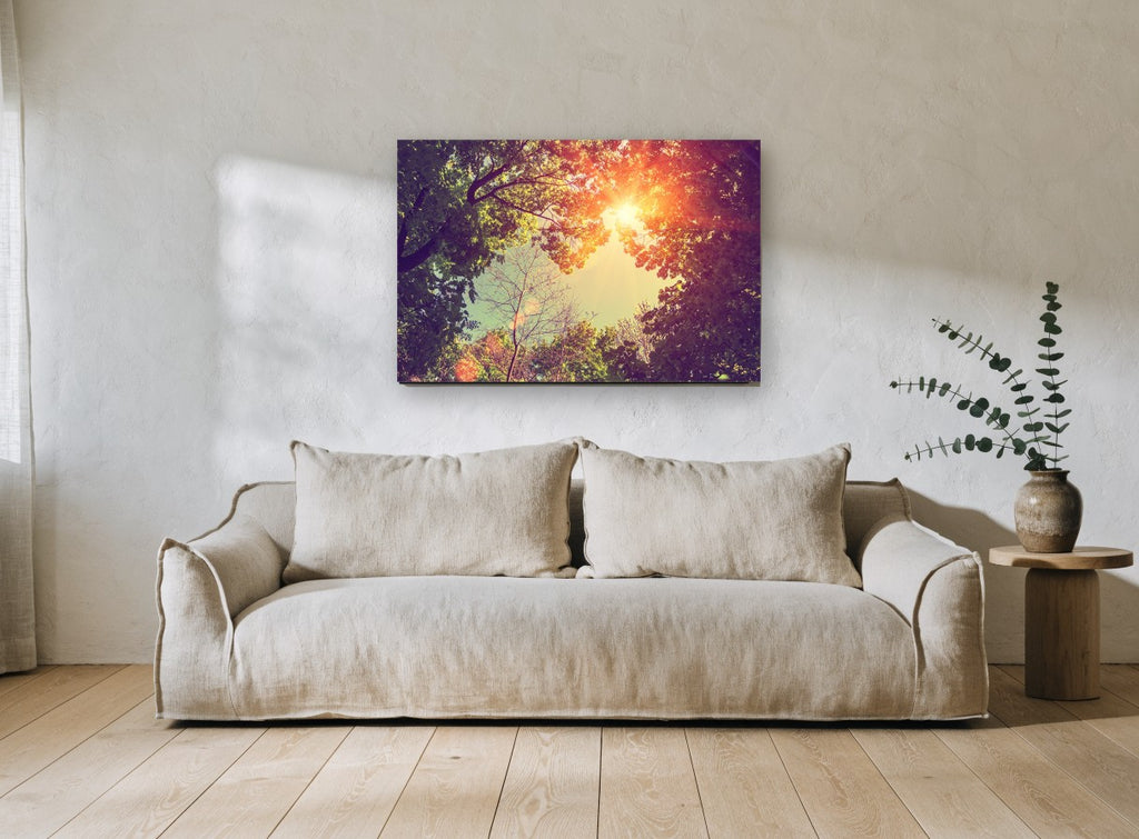Sunburst Through Canopy landscape canvas print on the wall of a living room