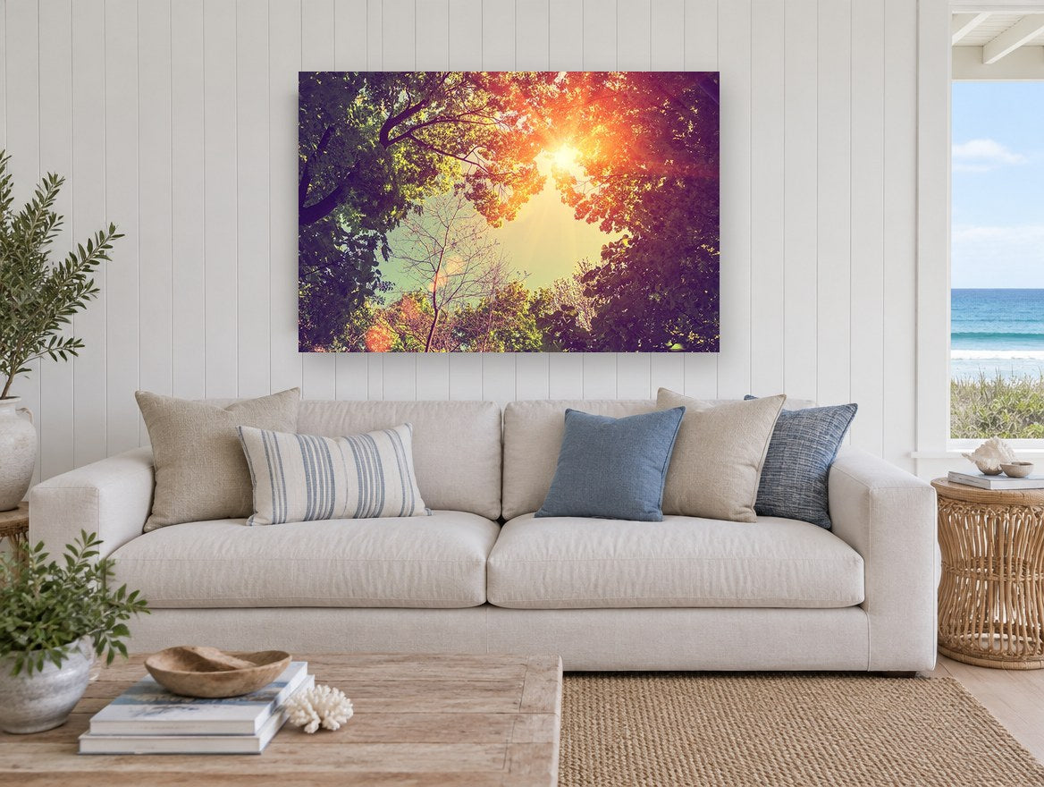 Sunburst Through Canopy landscape canvas print on the wall of a beach house living room