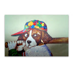 MACY-088