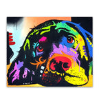 Man's Best Friend