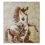 Stallion
