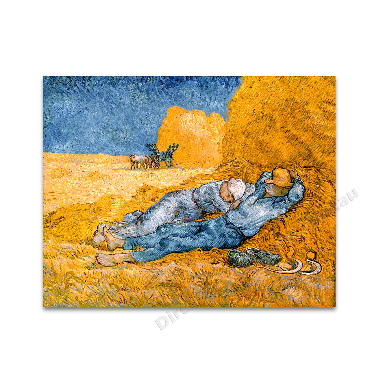 The Siesta