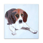 MACY-076