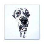 MACY-078