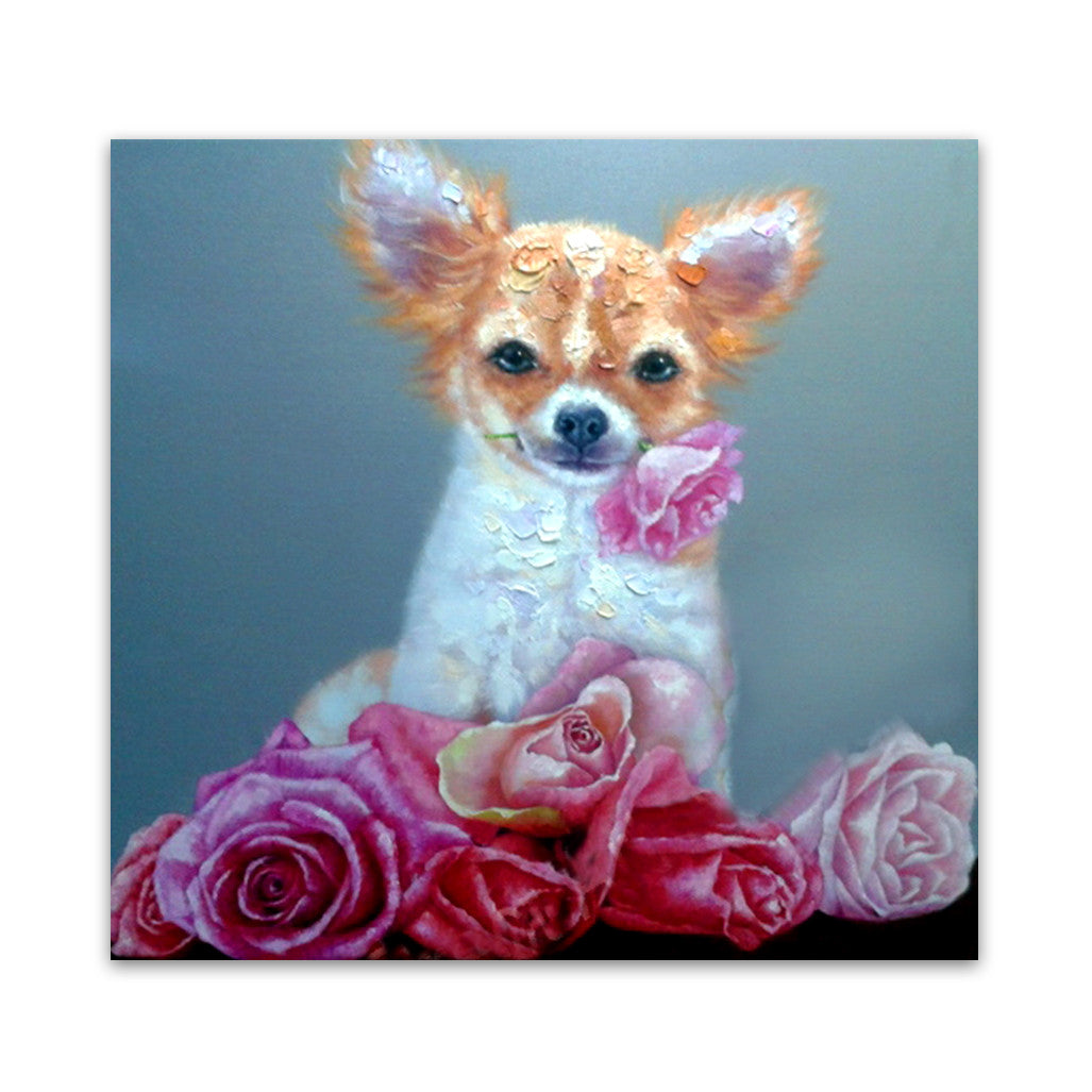 MACY-086