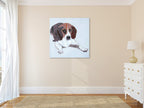 MACY-076 on the wall