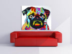Pug on the wall