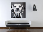Macy-115 on the wall
