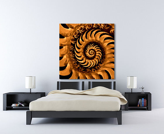 Floral Delight  on the wall