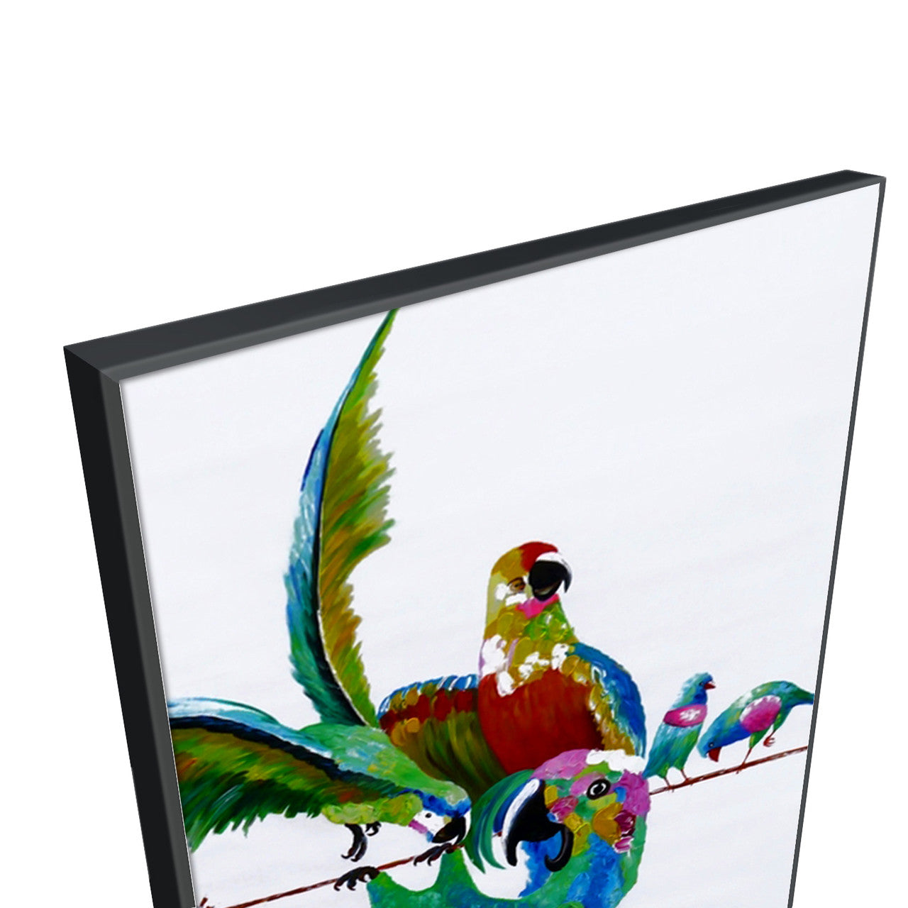 Playful Birds