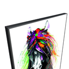 Colorful Horse