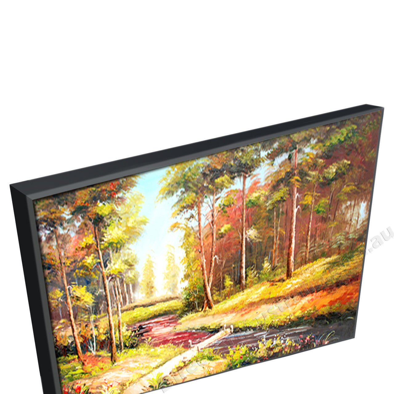Black Floating Frame