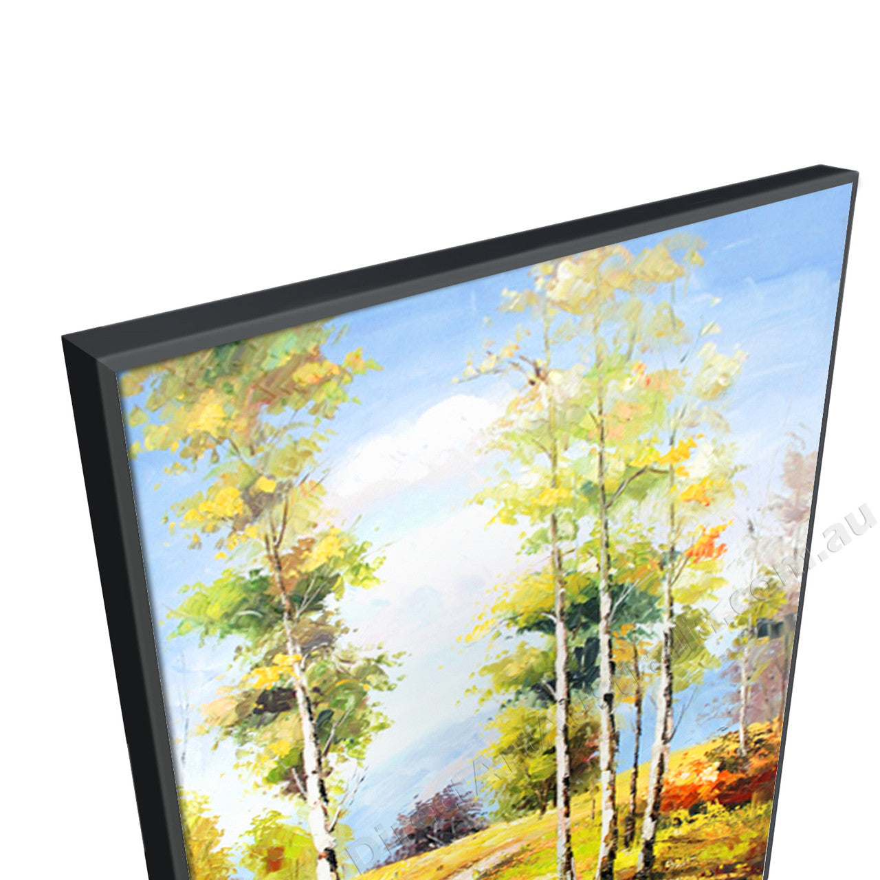 Black Floating Frame