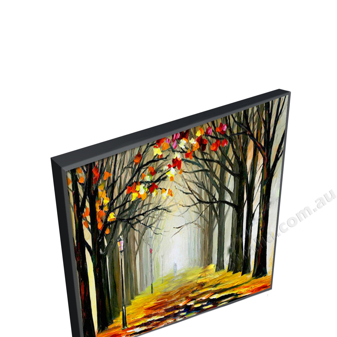 Black Floating Frame