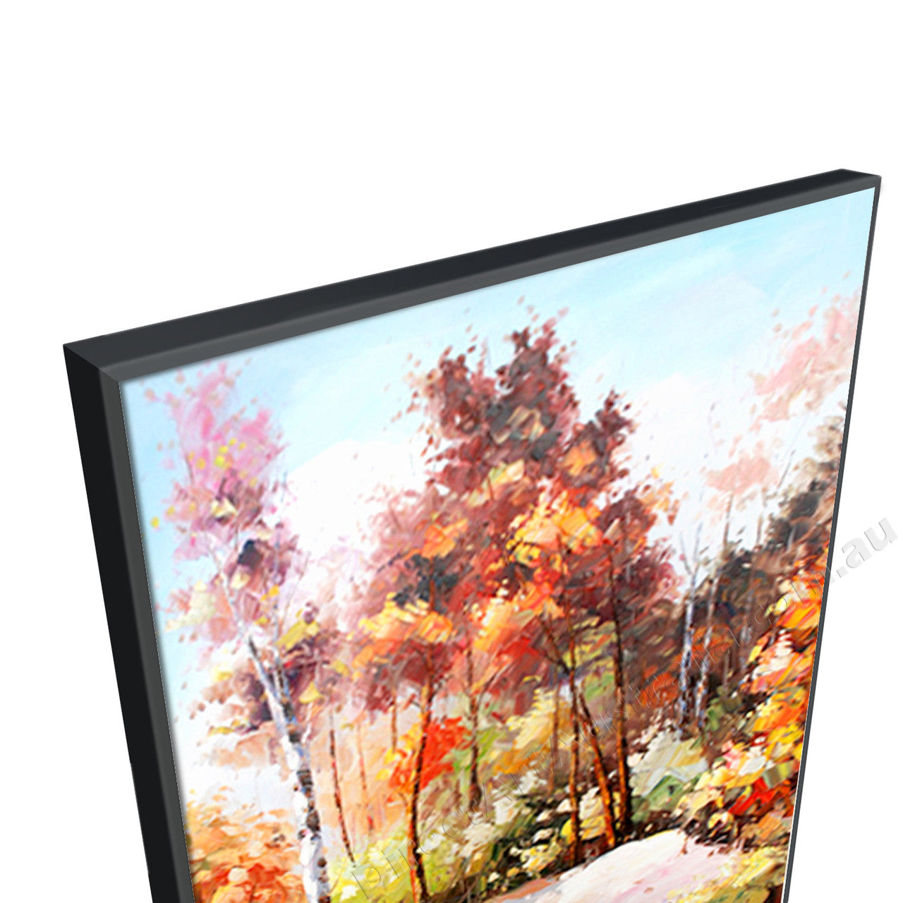 Black Floating Frame