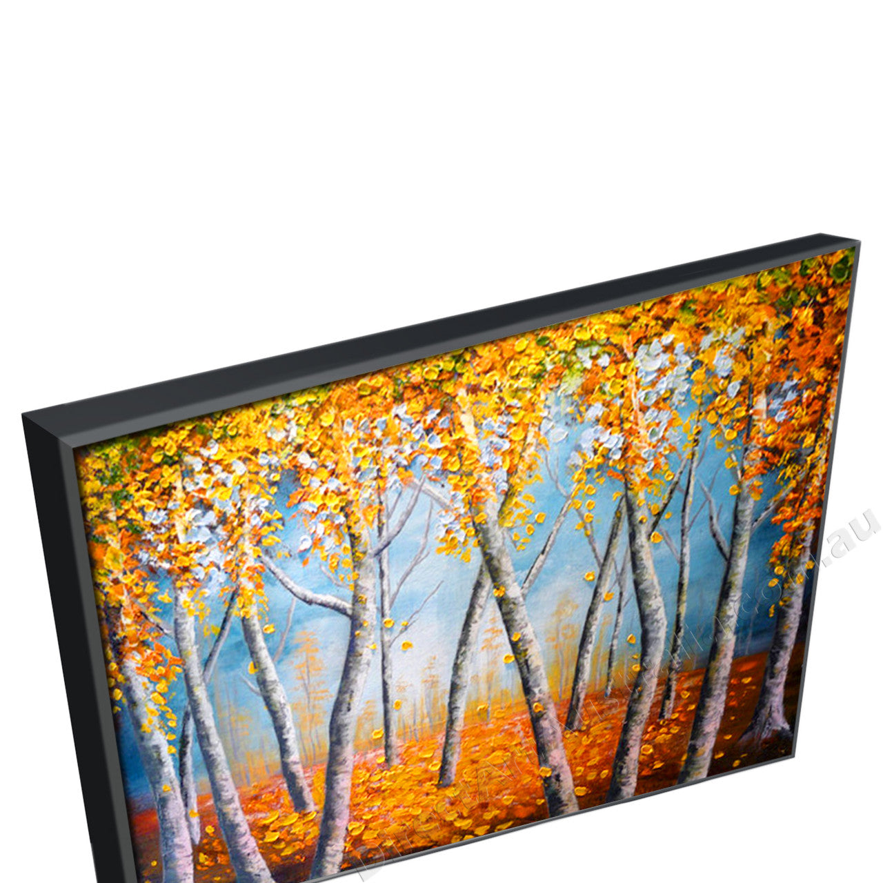 Black Floating Frame