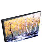 Black Floating Frame