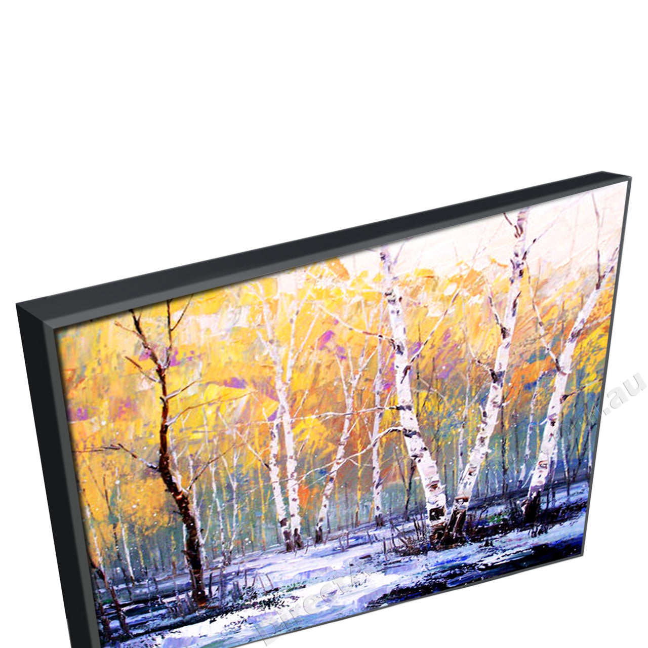 Black Floating Frame