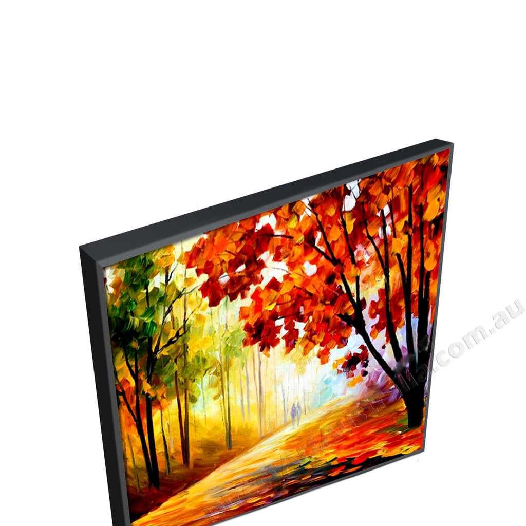 Black Floating Frame