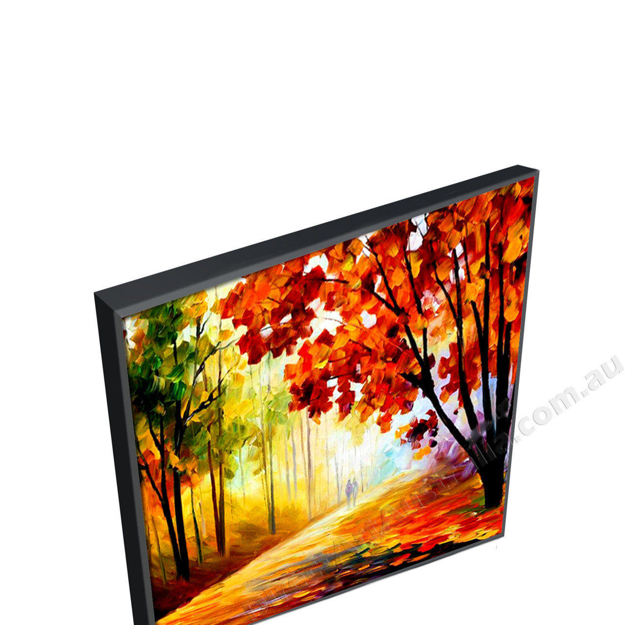Black Floating Frame