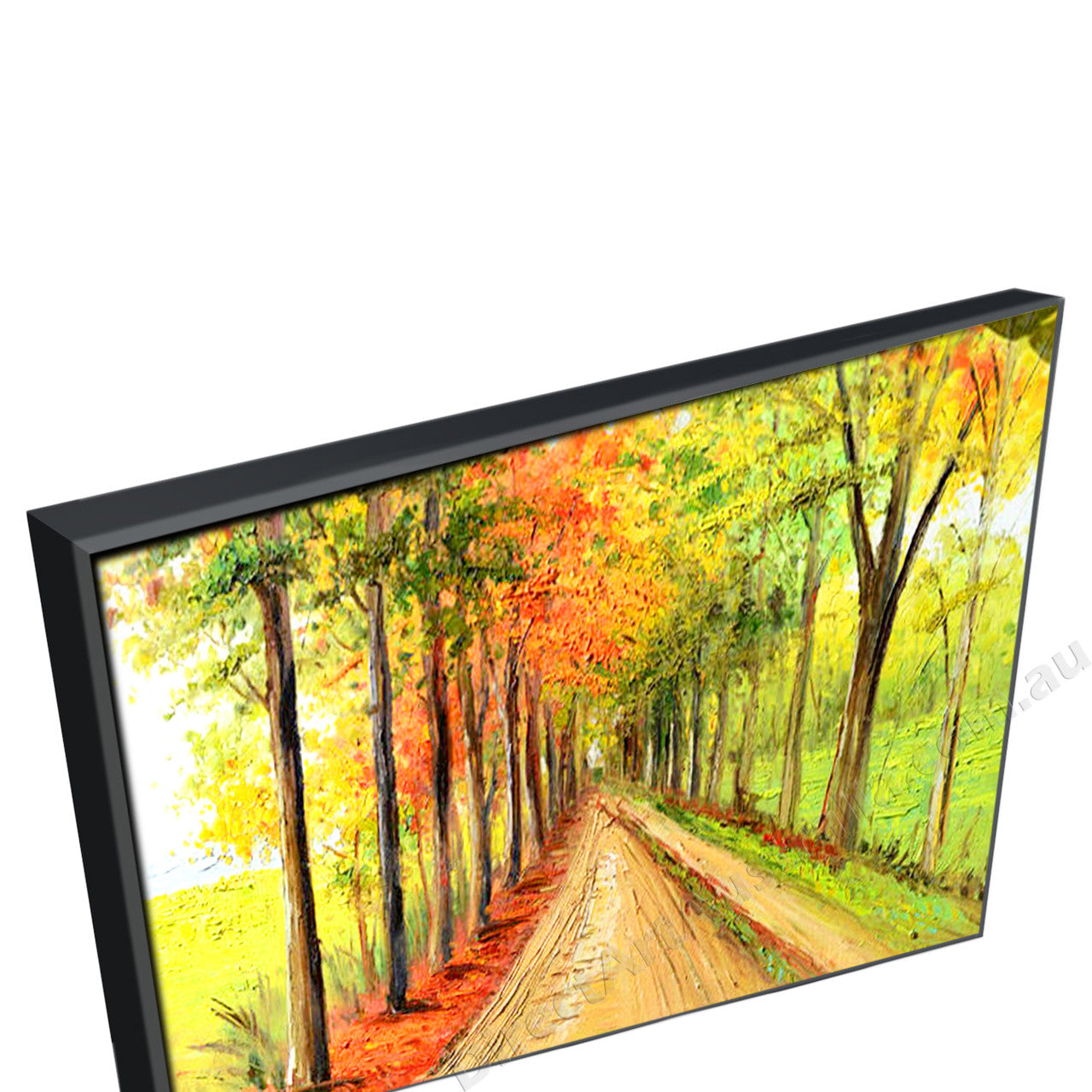 Black Floating Frame