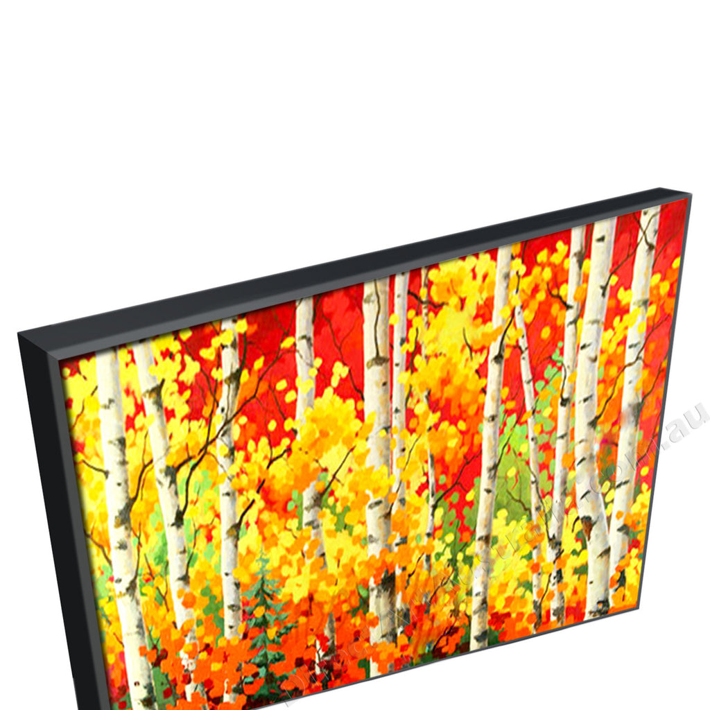 Black Floating Frame