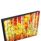 Black Floating Frame