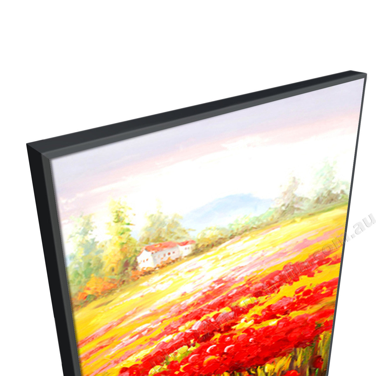 Black Floating Frame