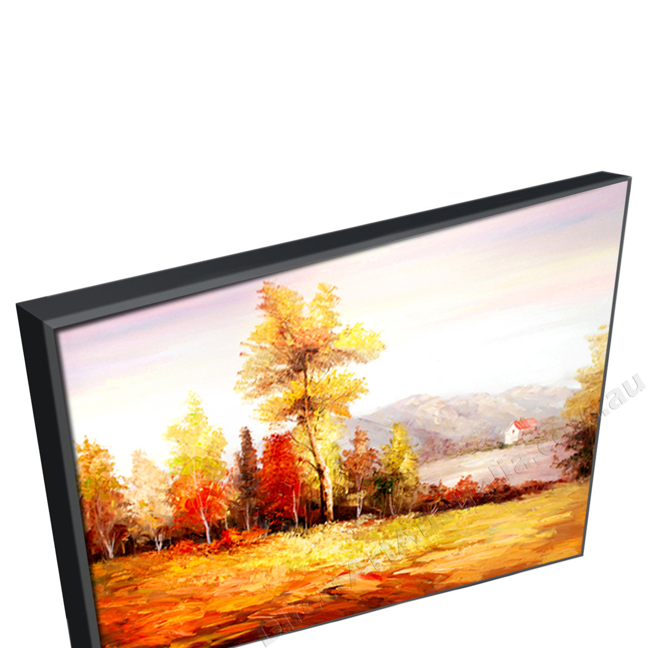 Black Floating Frame