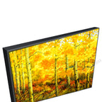 Black Floating Frame