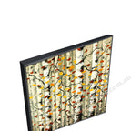 Black Floating Frame