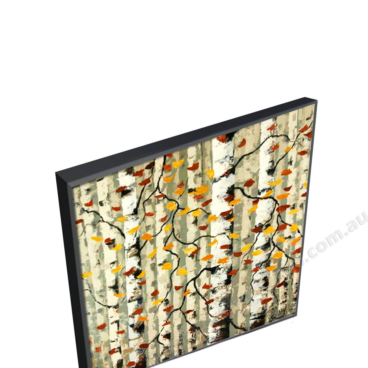 Black Floating Frame