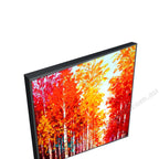 Black Floating Frame