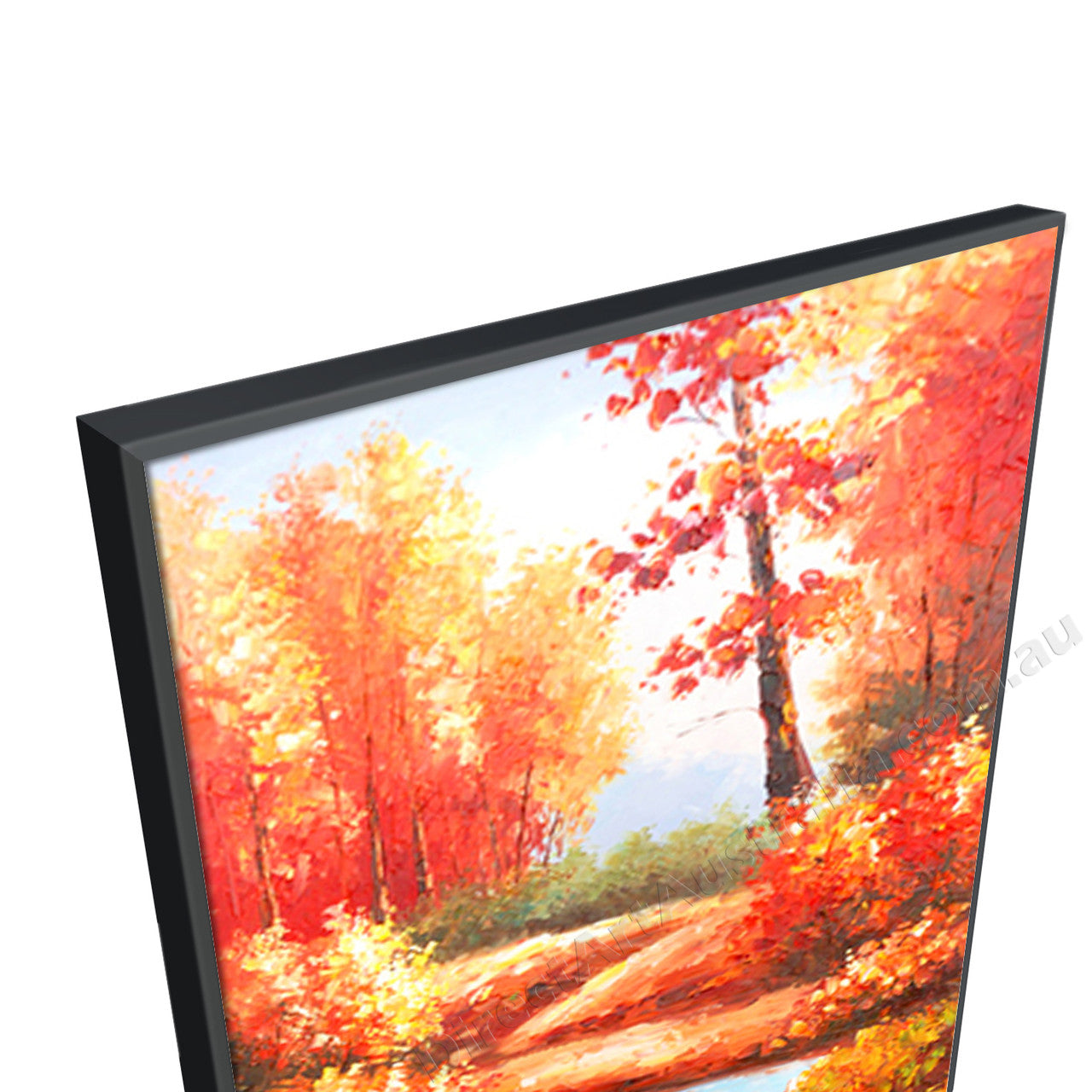 Black Floating Frame